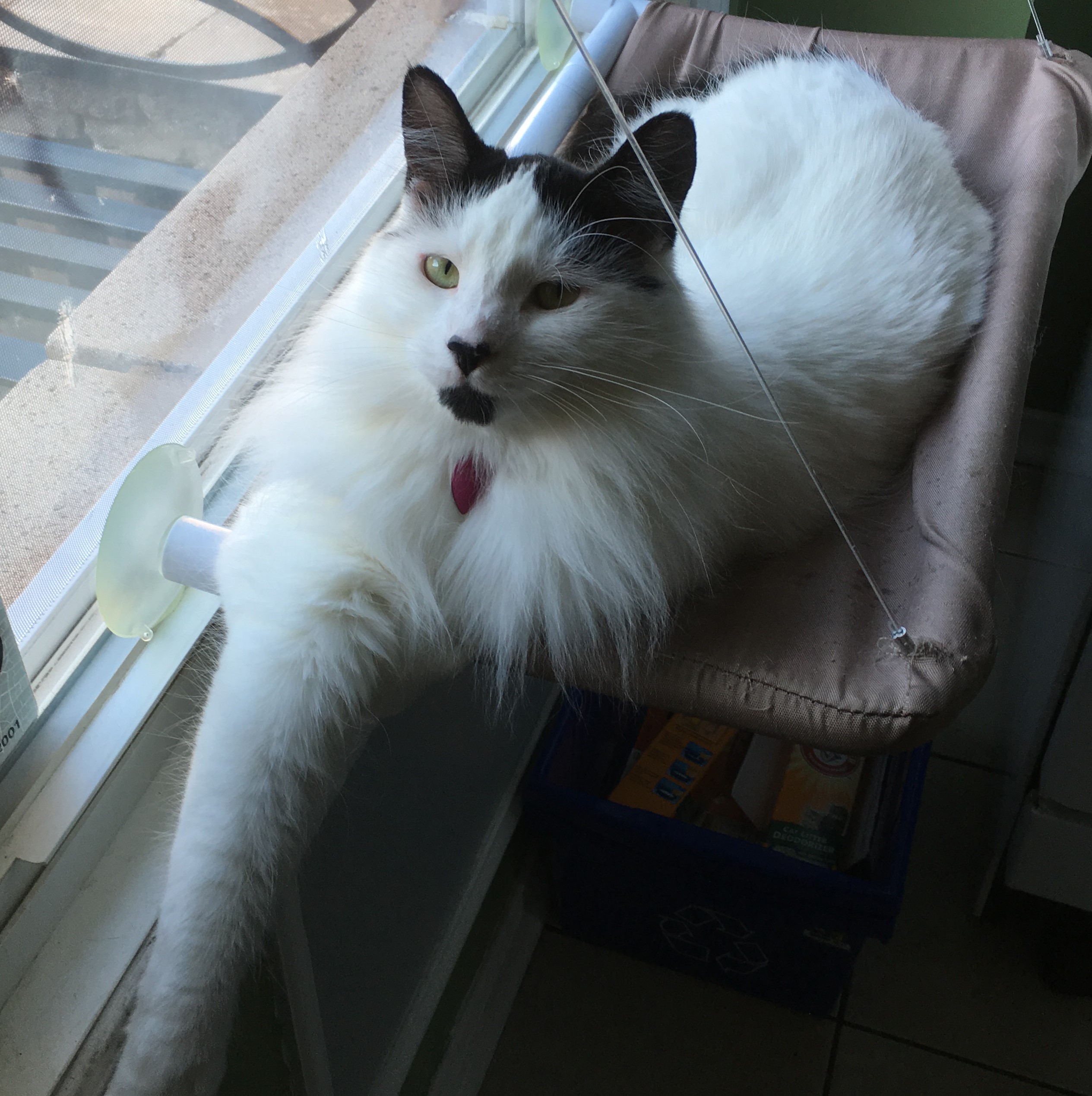 Ares