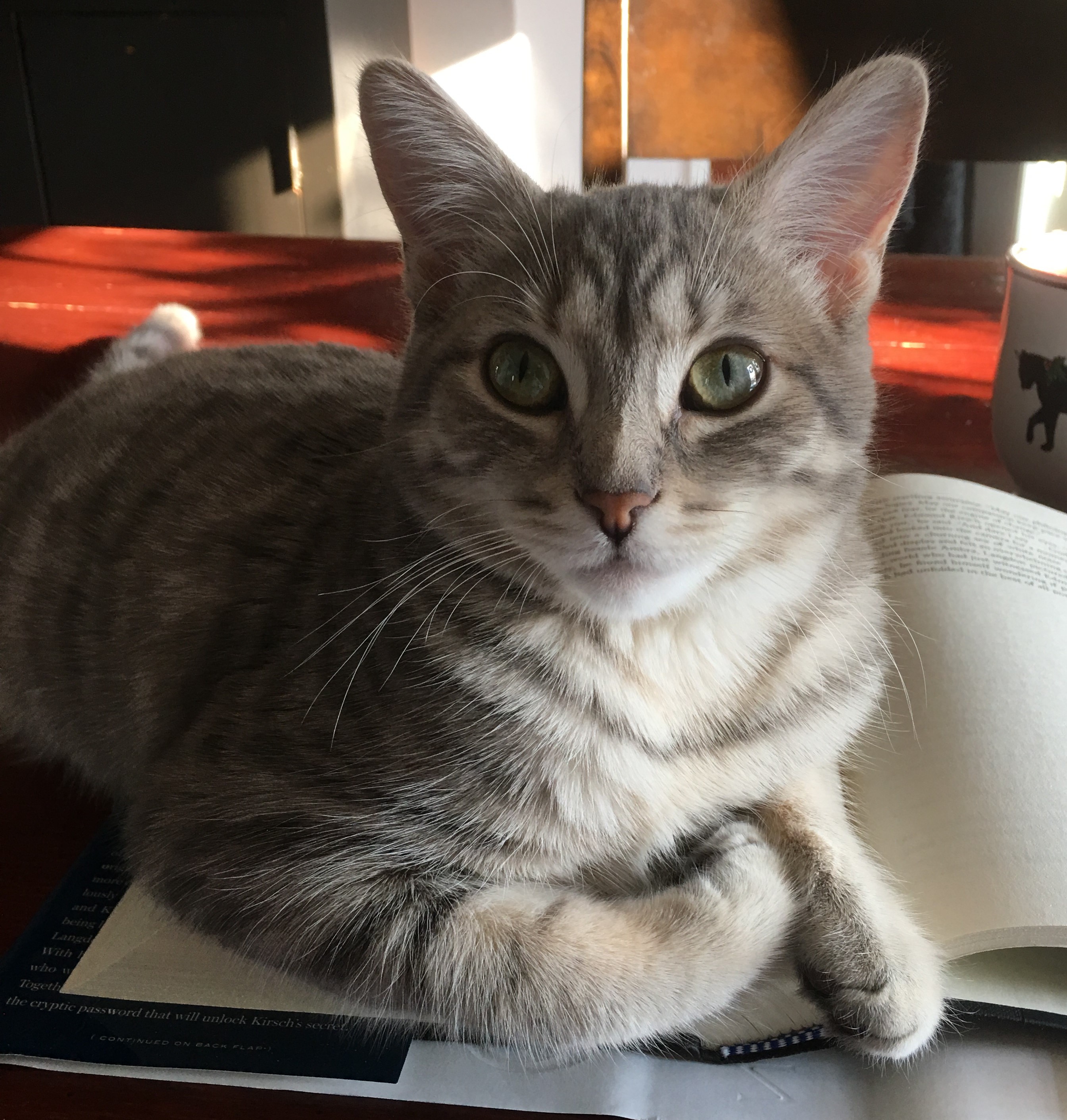 Jelli (Office Manager)