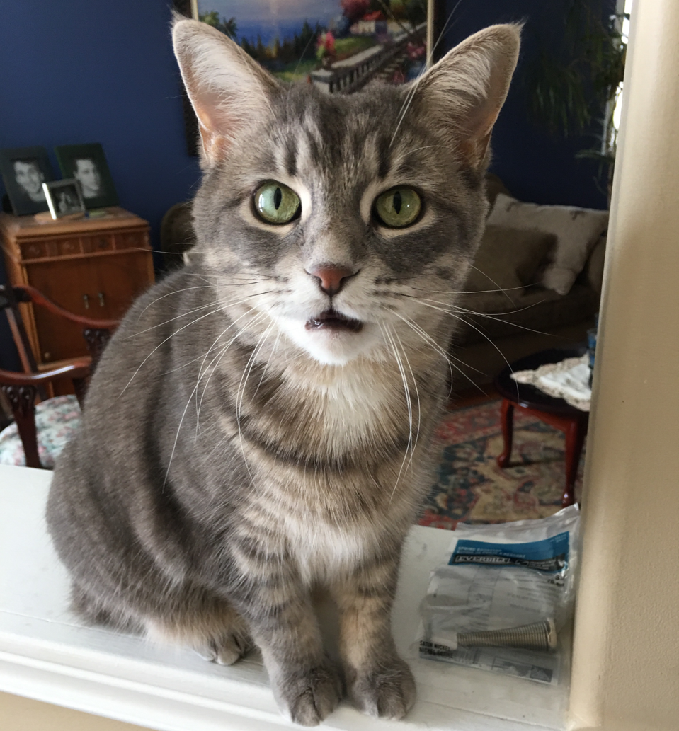 Lucy