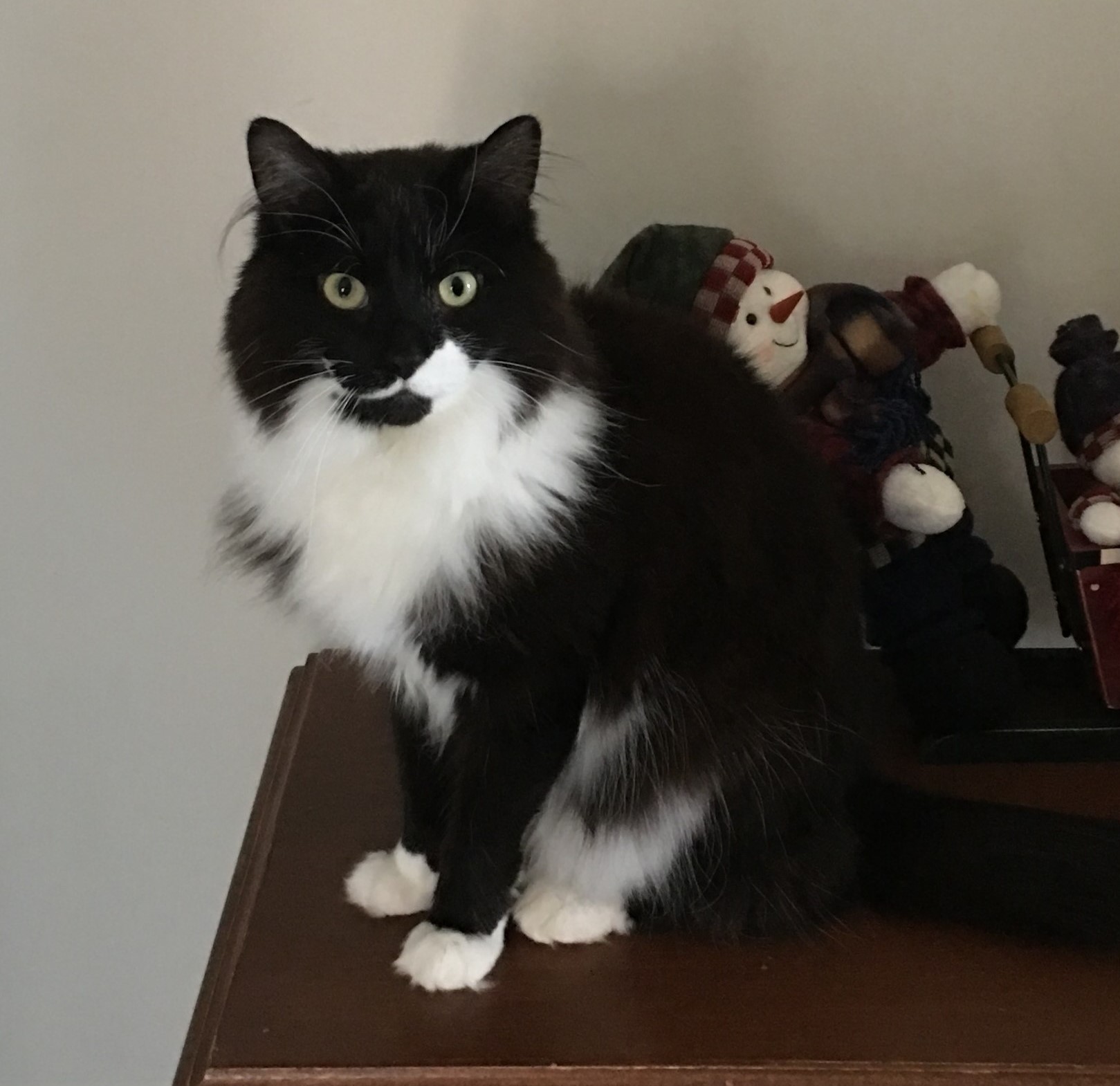 Max