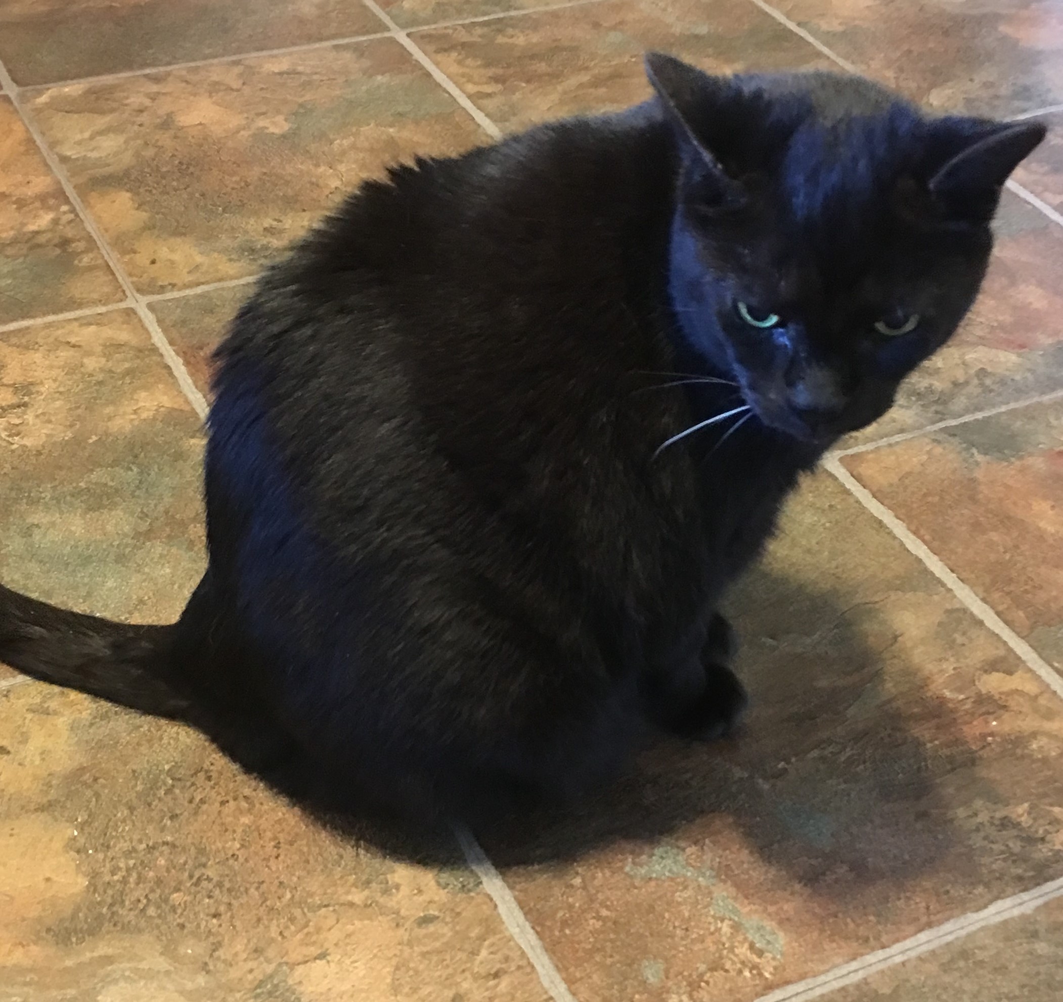 Nala