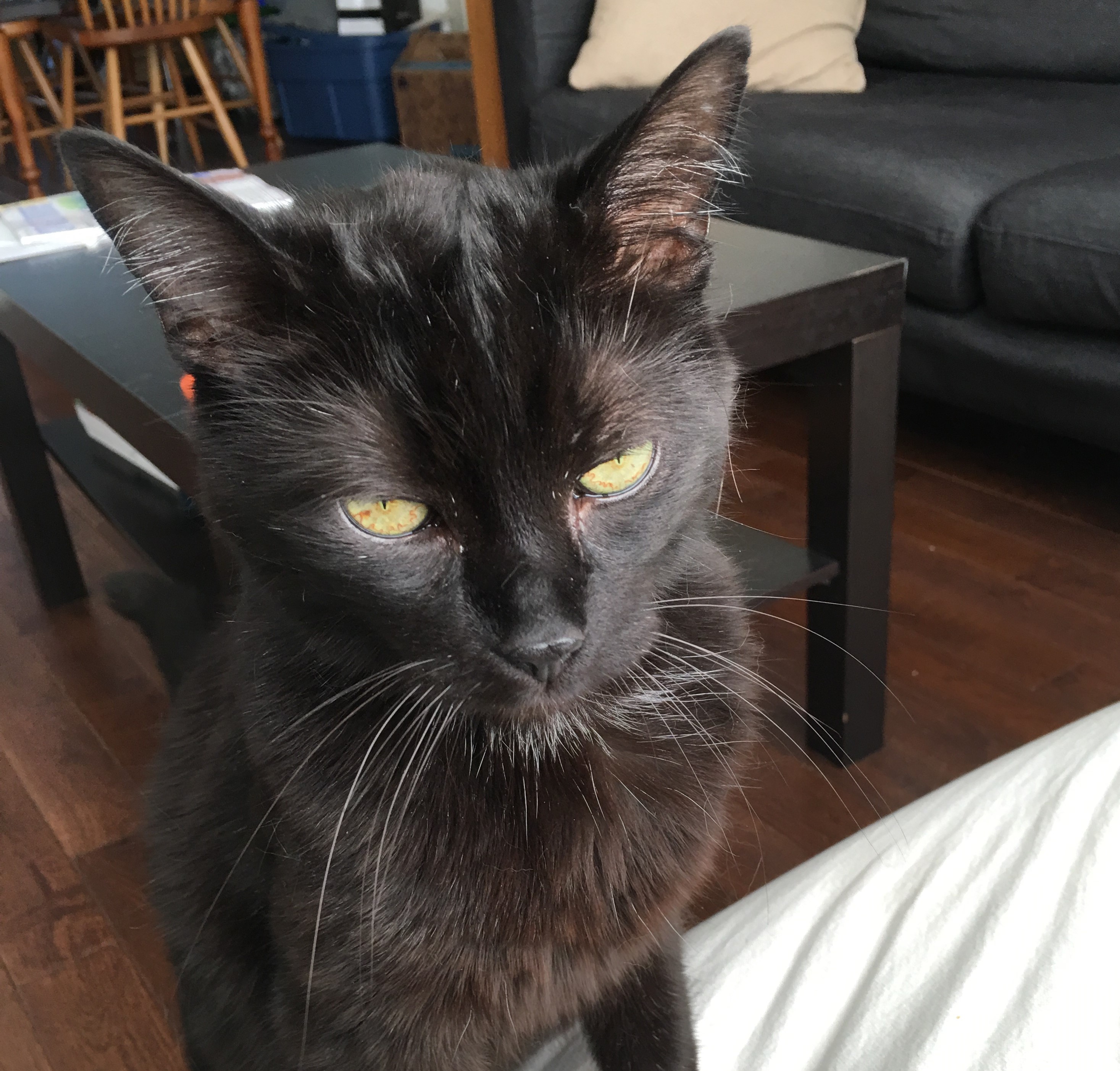 Oscar