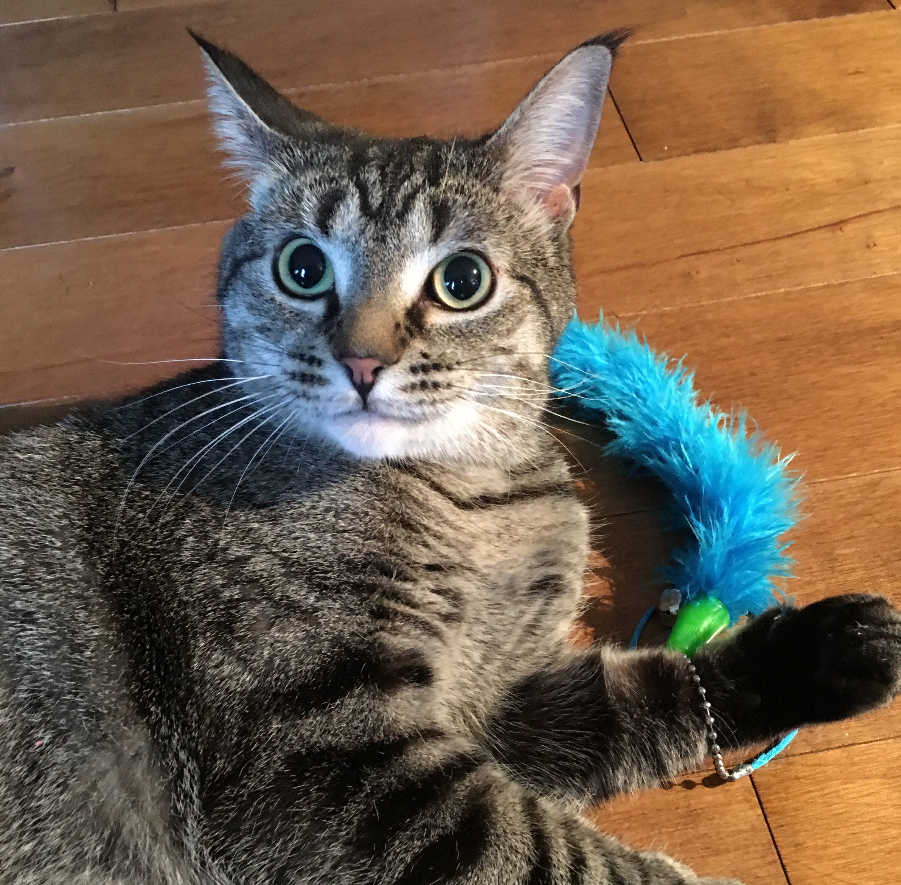 Pepper