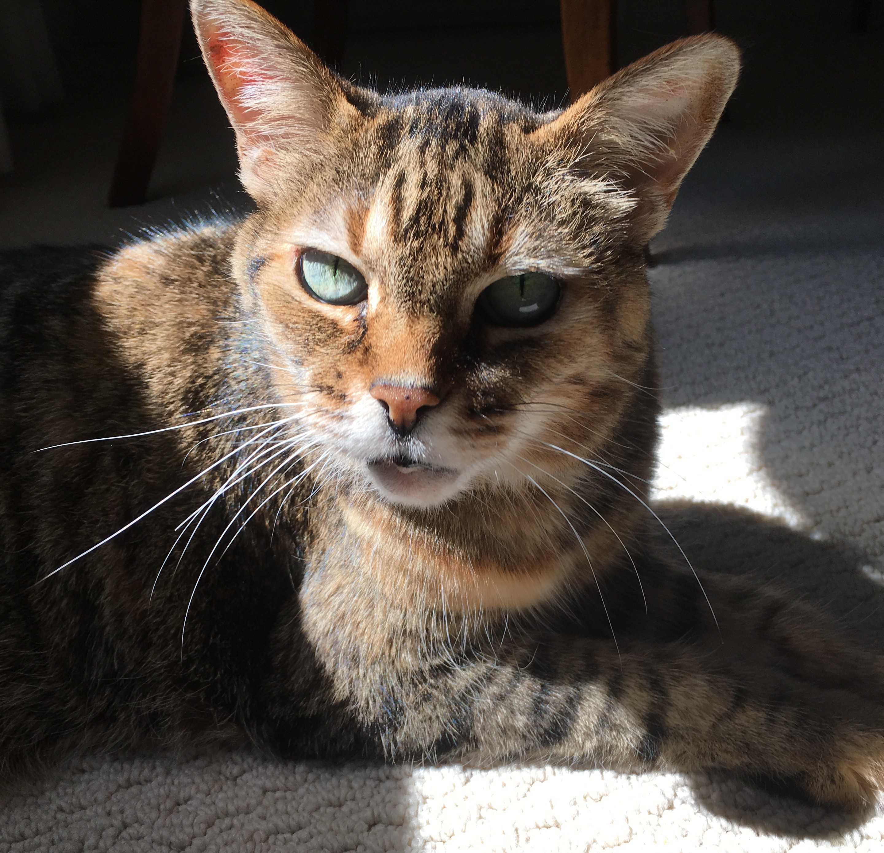 Ramona