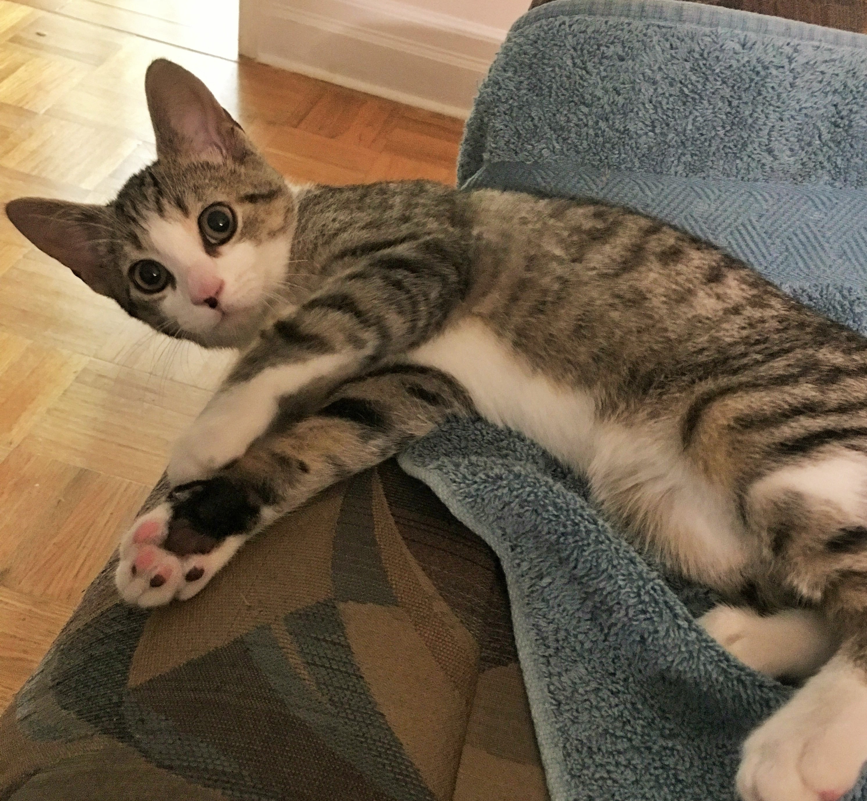 Reggie