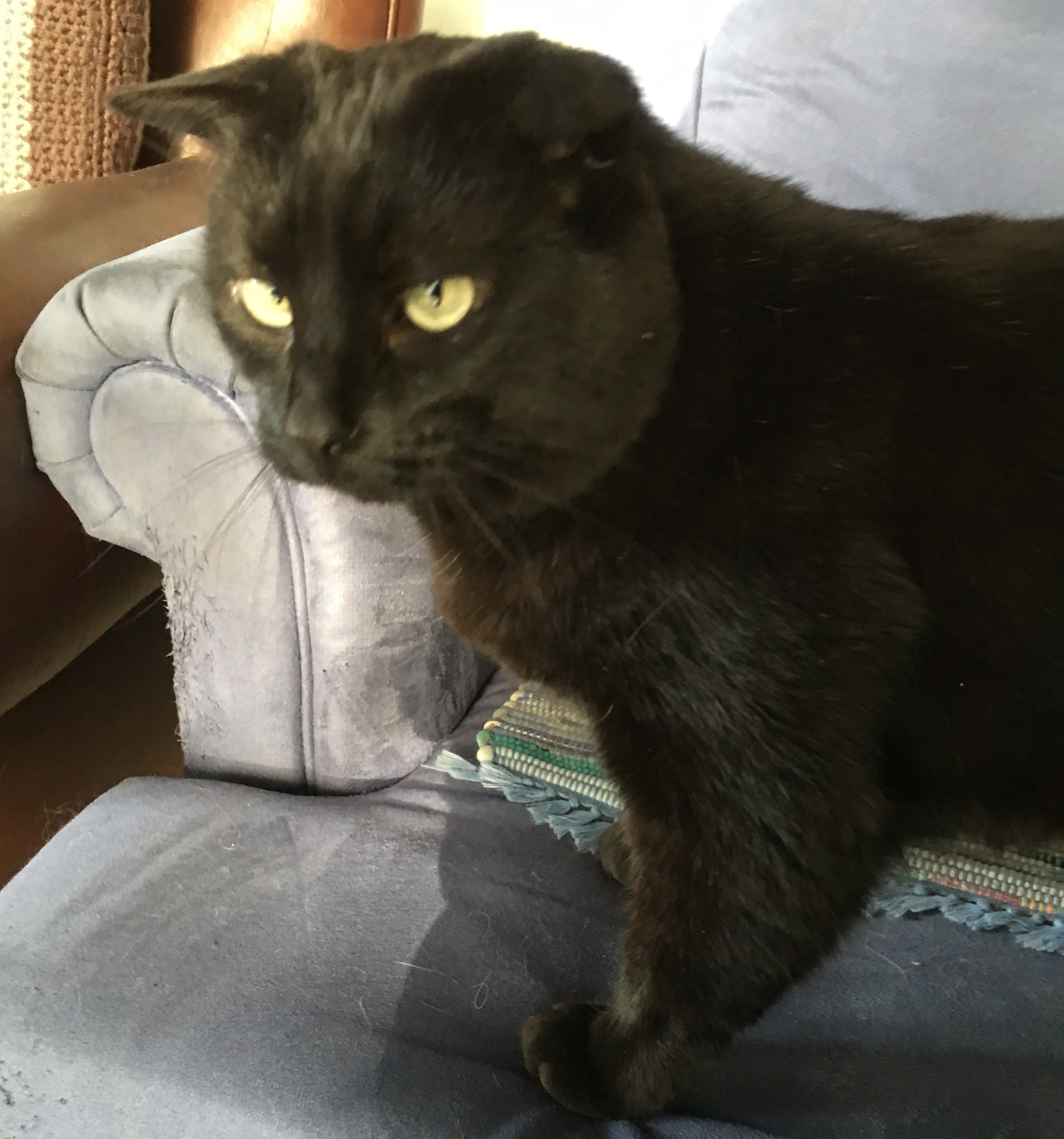 Sam