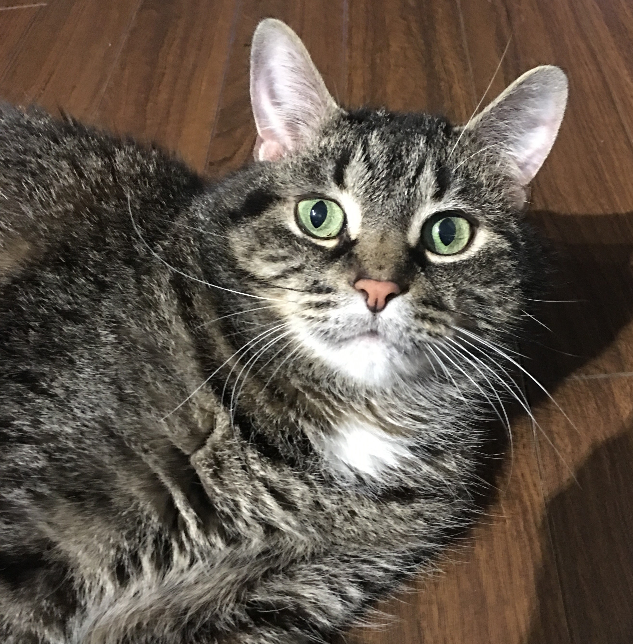 Sebastion
