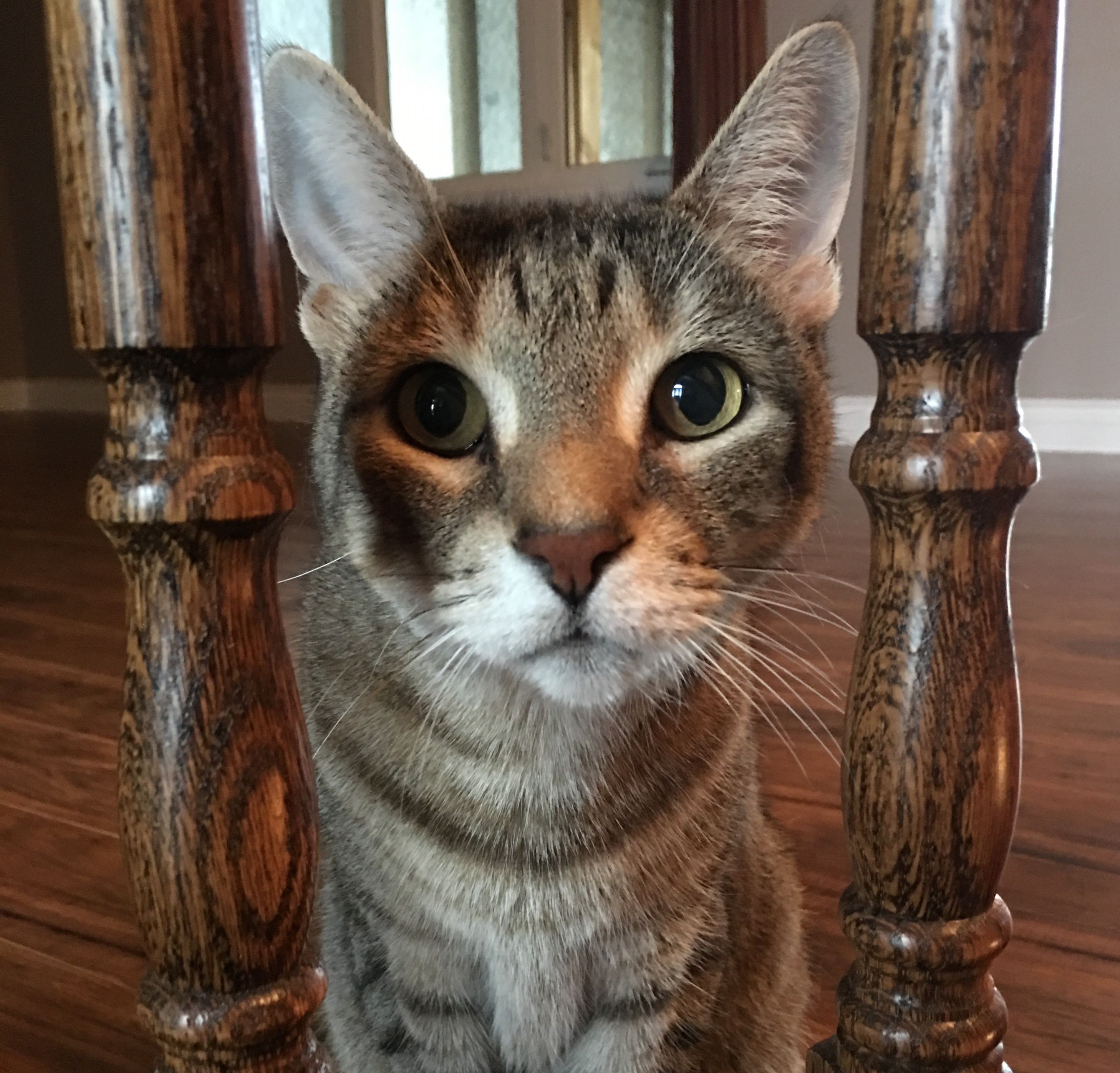 Fred