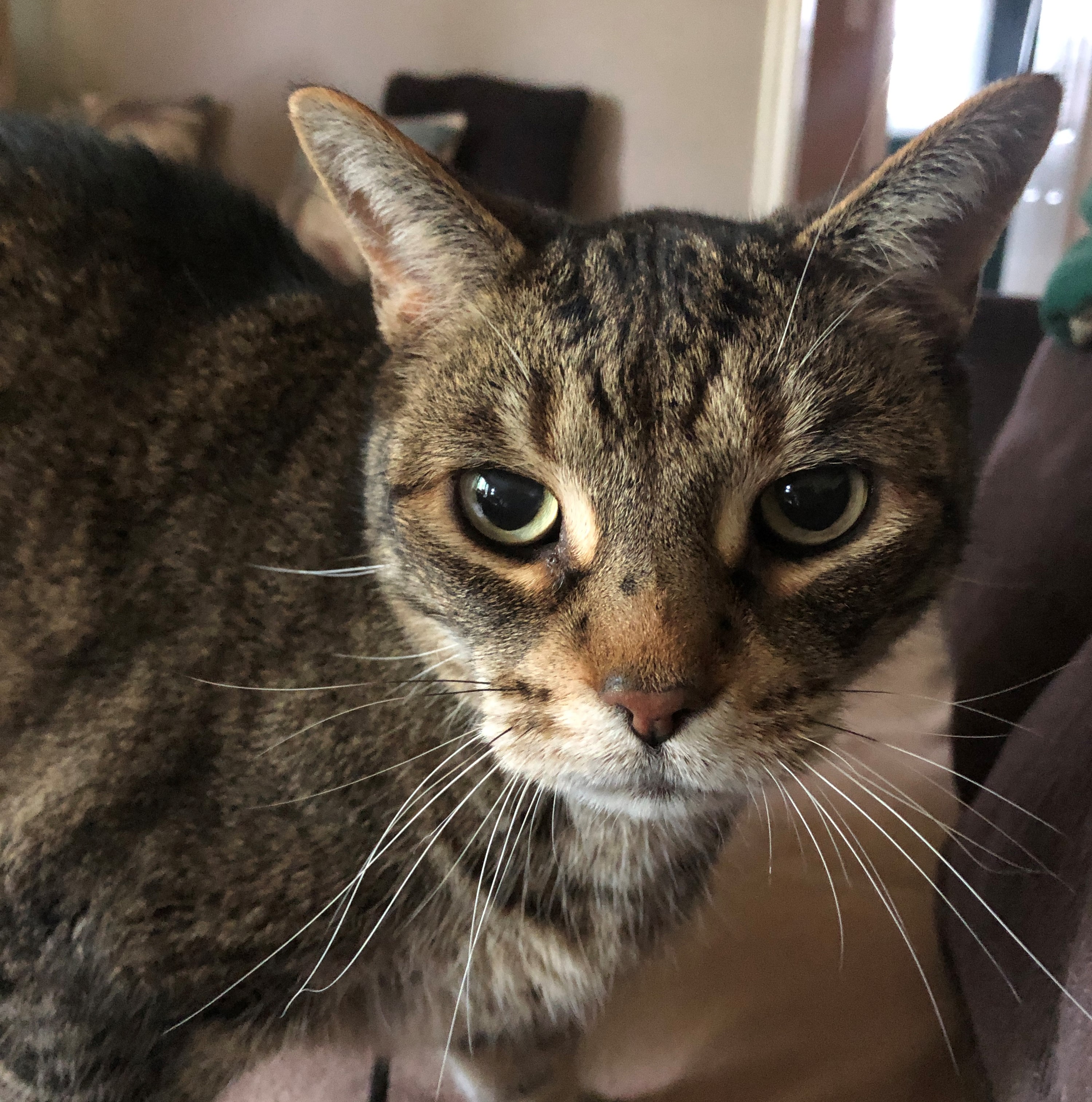 Max