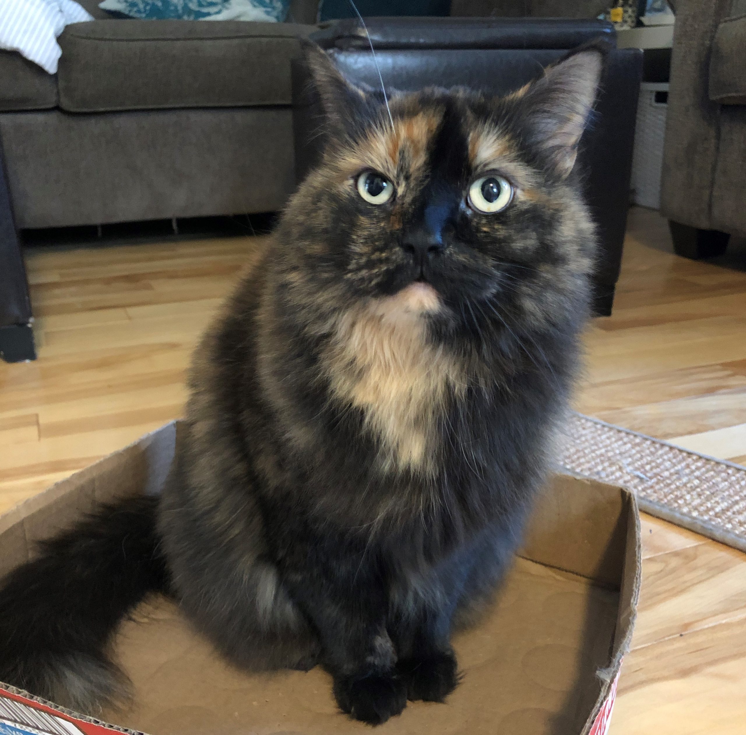 Luna