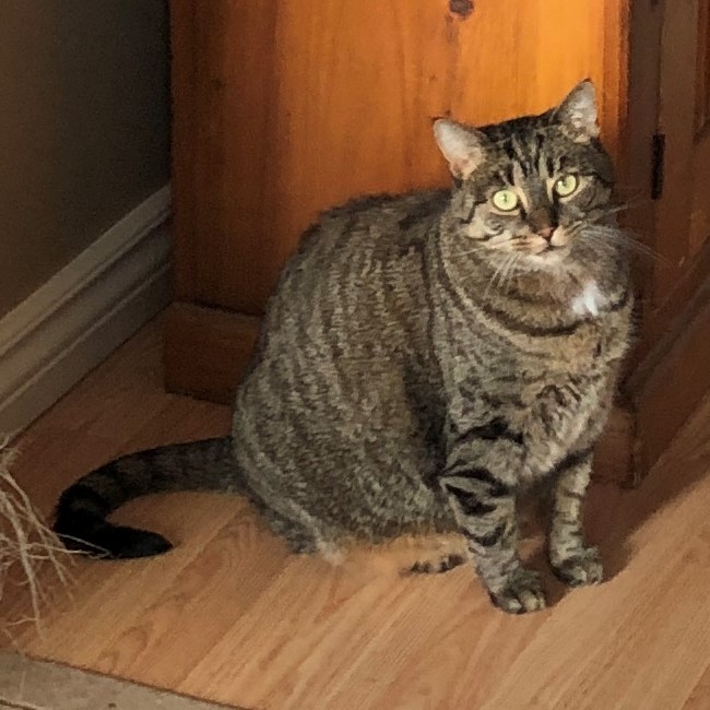Rosie