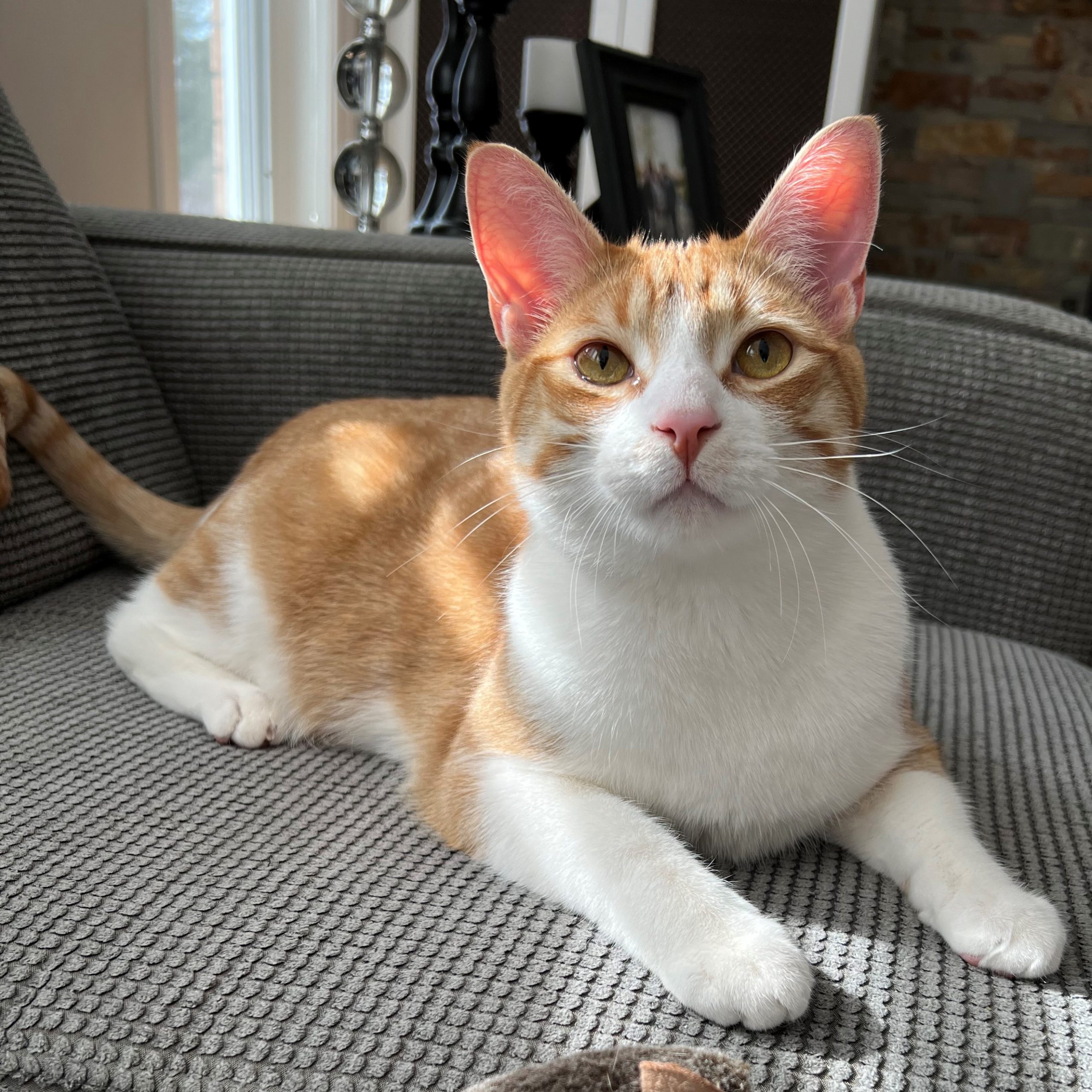 Tony